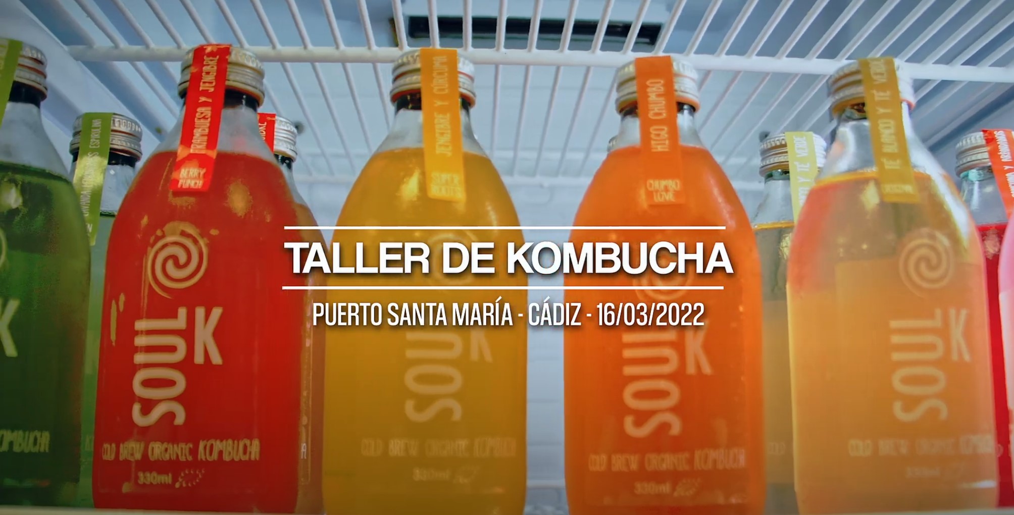 Taller de Kombucha